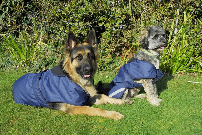 Rhinegold Highland Waterproof Dog Coats