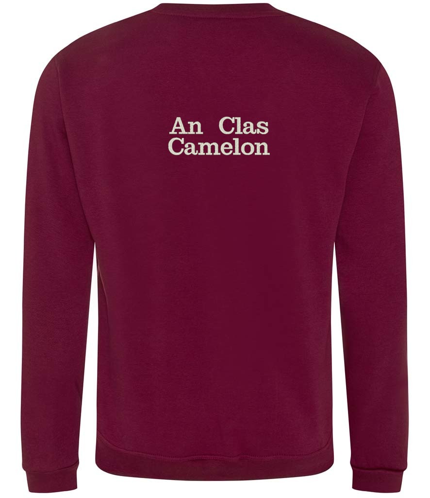 Pro Sweatshirt – An Clas Camelon